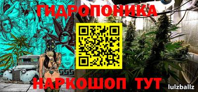 шишки Будённовск