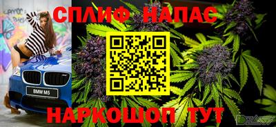 шишки Волгодонск